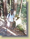 Hiking-Woodside-Oct2011 (6) * 2736 x 3648 * (4.91MB)
